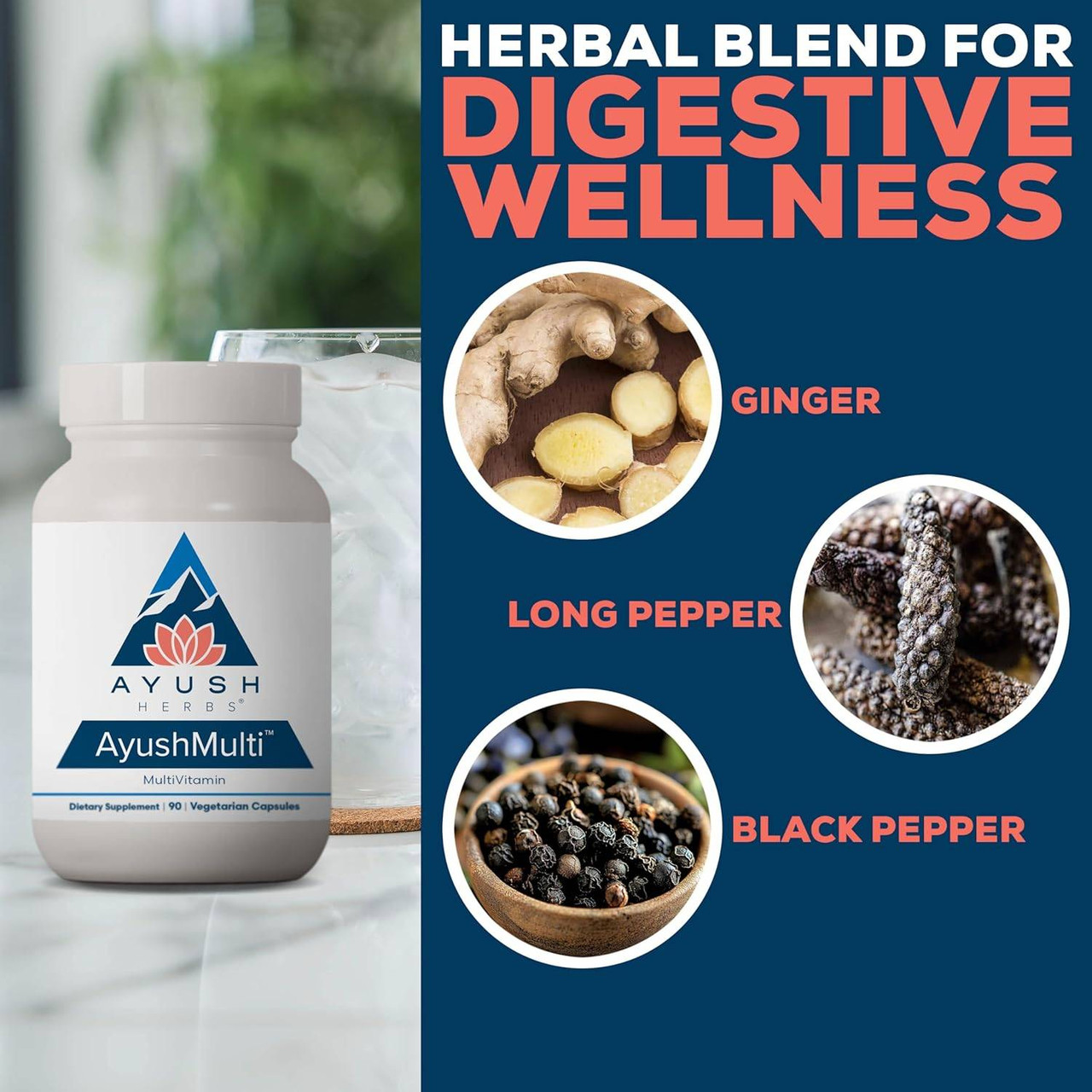 Ayush Herbs Ayush Multi - 90 Capsules