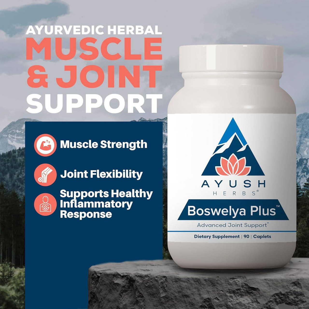 Boswelya Plus bottle on a rock, Ayurvedic herbal joint formula graphic