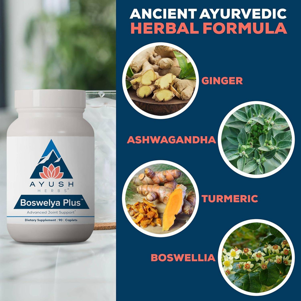 Ayush Herbs Boswelya Plus - 90 Caplets