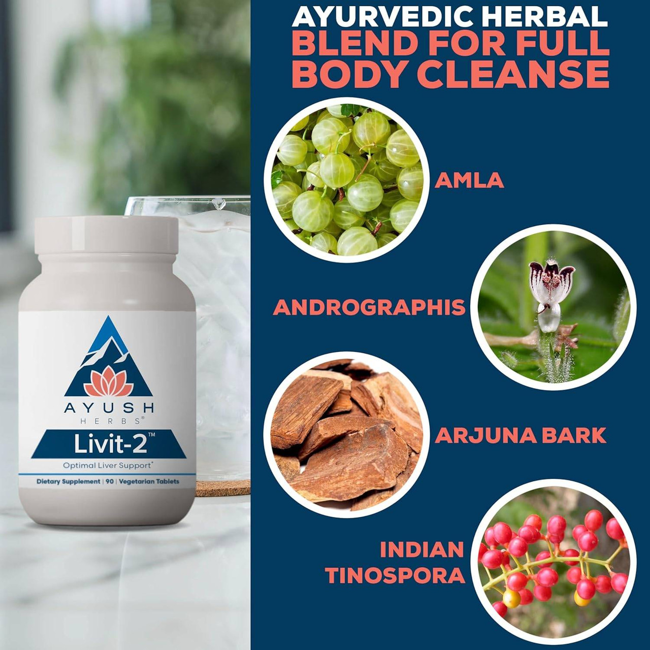 Ayush Herbs Livit-2 500mg - 90 Tablets