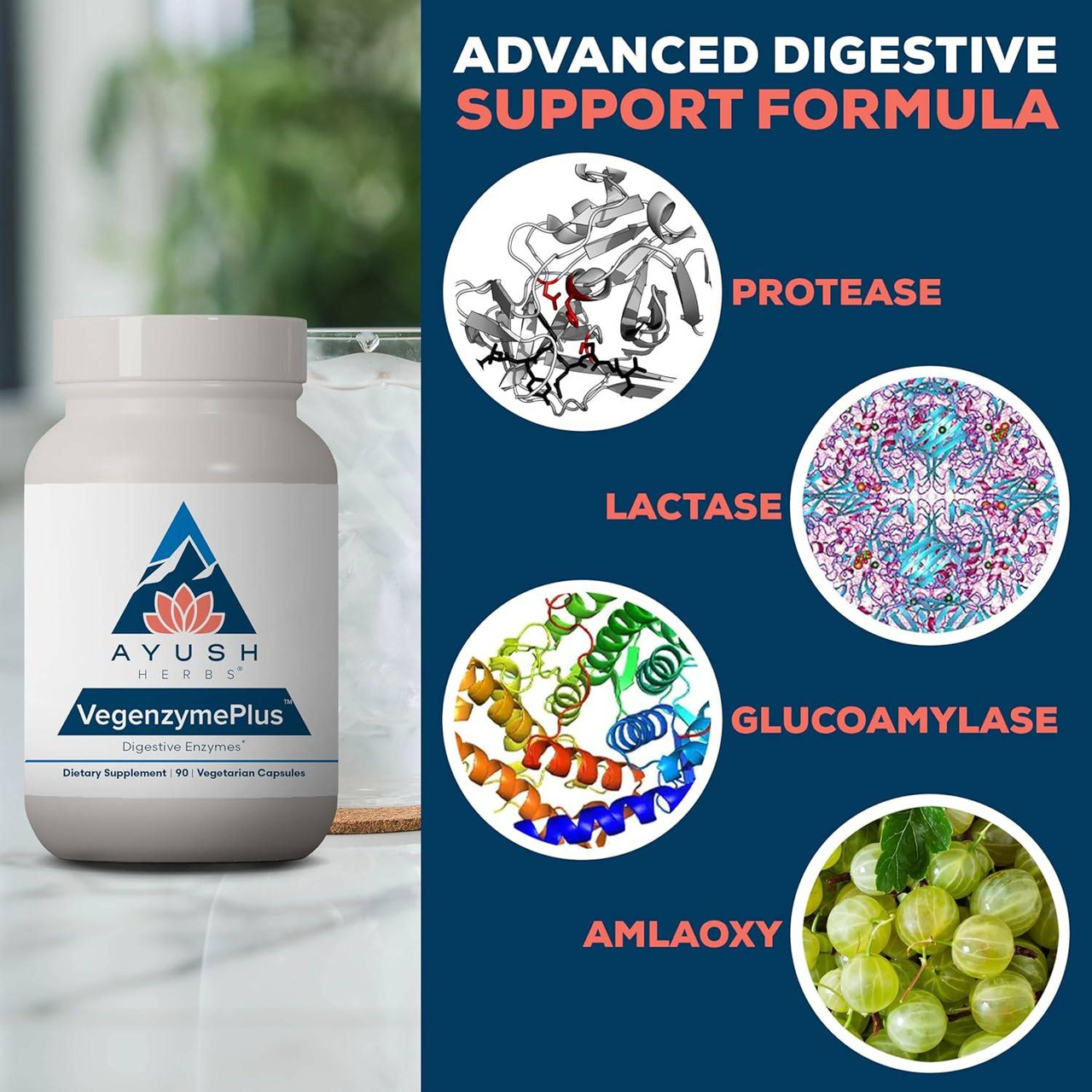 Ayush Herbs Vegenzyme Plus - 90 Capsules