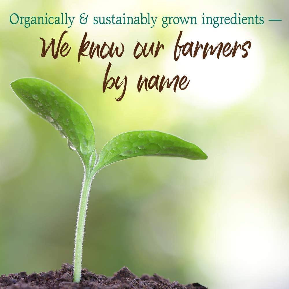 Seedling sprouting from soil, organically grown ingredients, we know our farmers by name