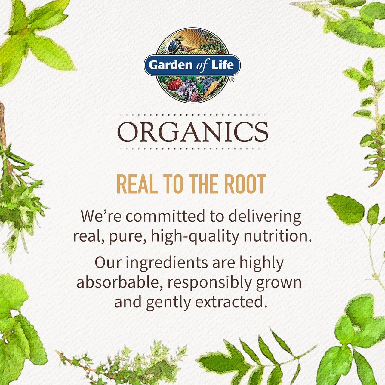 Garden of Life Mykind Organics Prenatal Multi