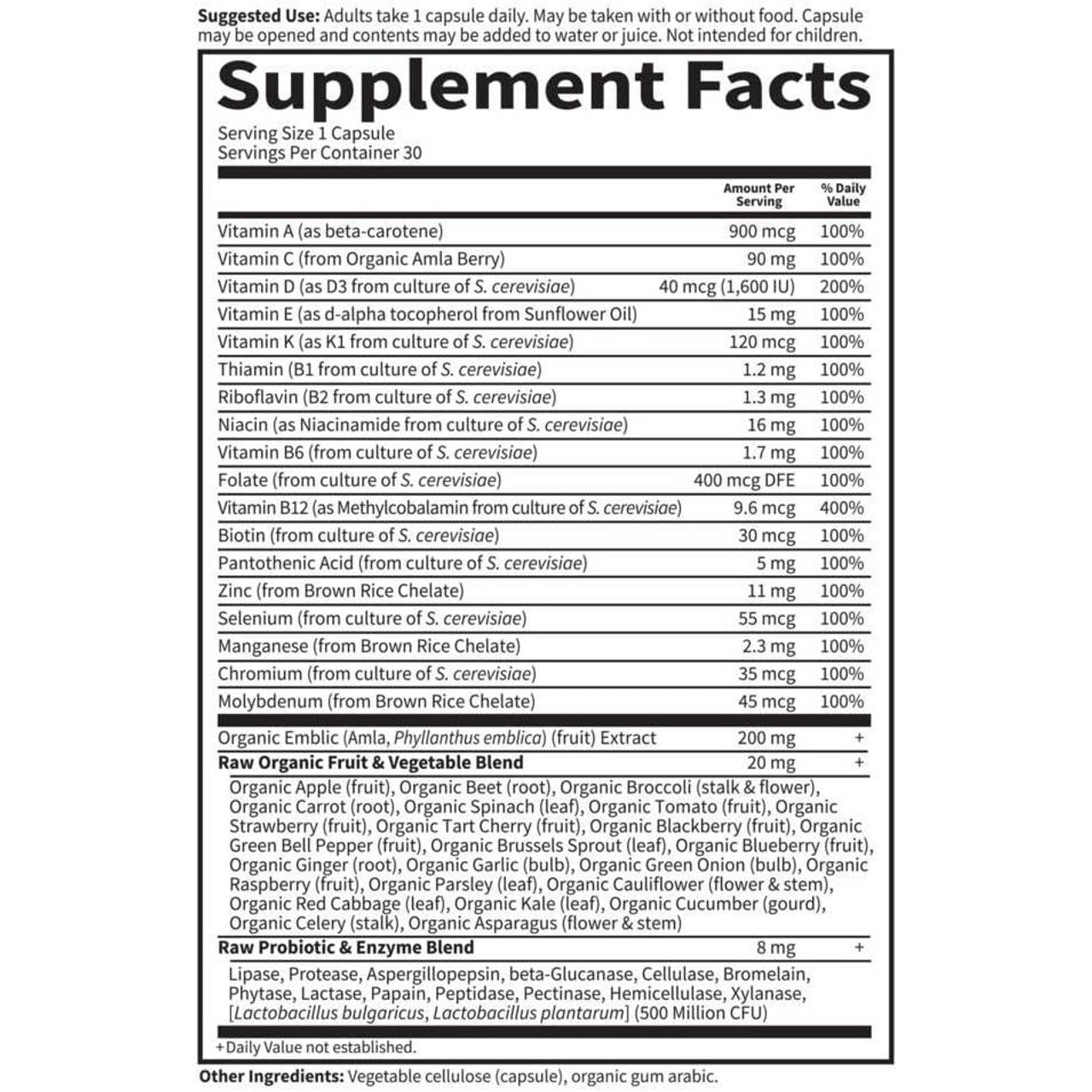 Garden of Life Vitamin Code RAW One for Men