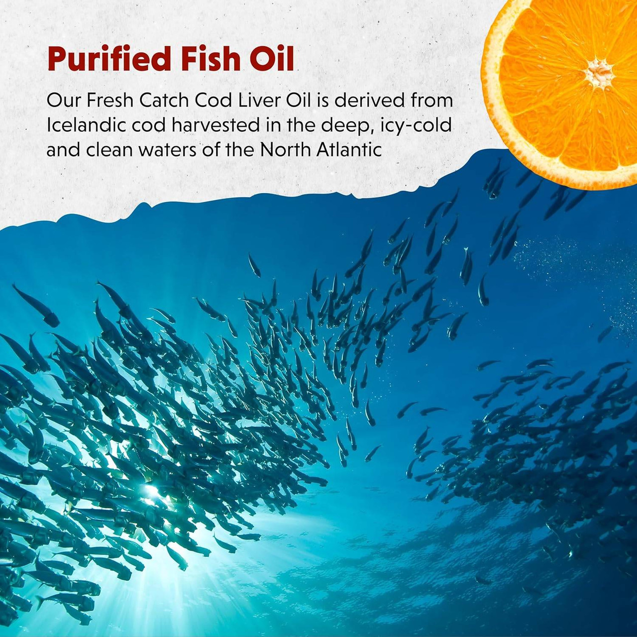 Barleans Organic Oils Fresh Catch Fish Oil Orange Flavor Liquid - 236 Milliliters