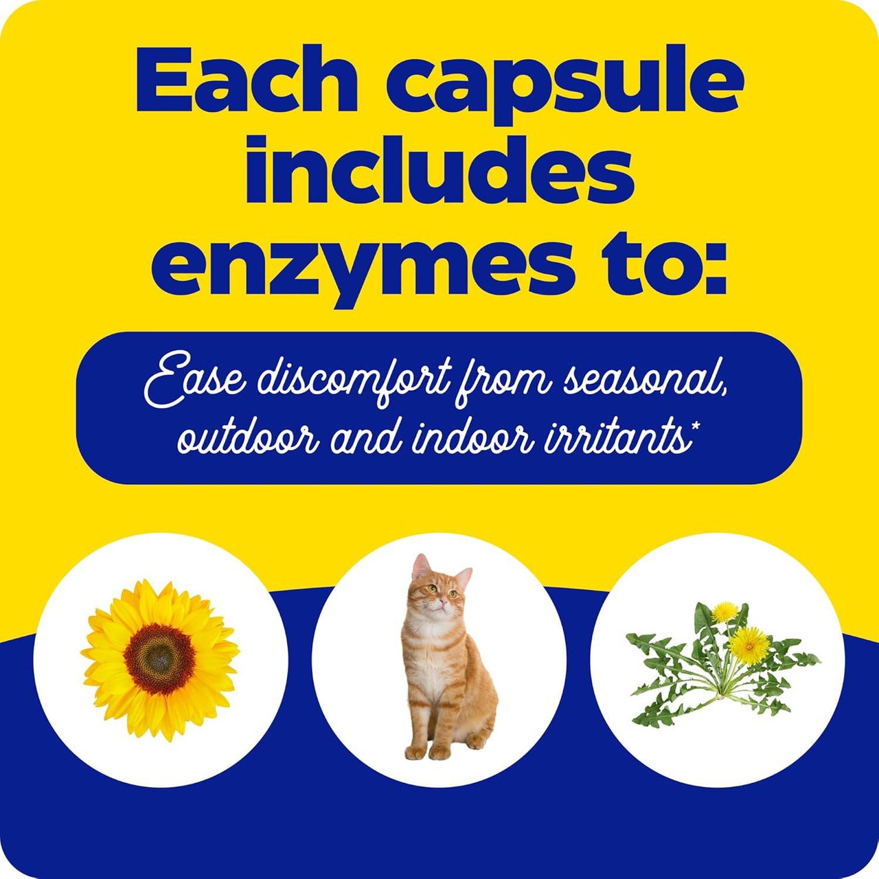 Each capsule includes enzymes graphic with sunflower, cat and dandelion illustrations