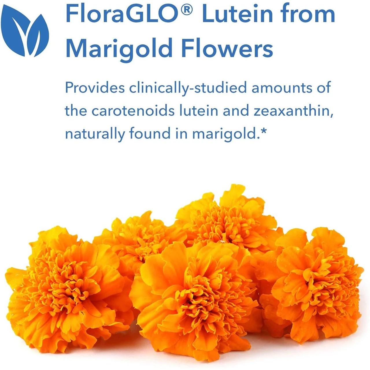 Marigold flowers, FloraGLO Lutein from marigold flowers graphic