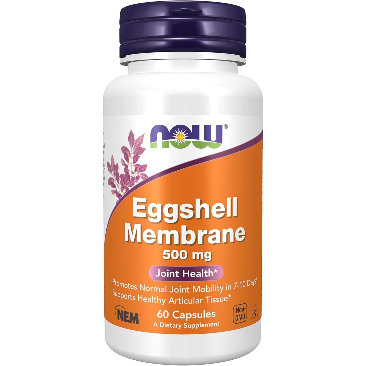 NOW Foods Eggshell Membrane 500 mg 60 capsules bottle