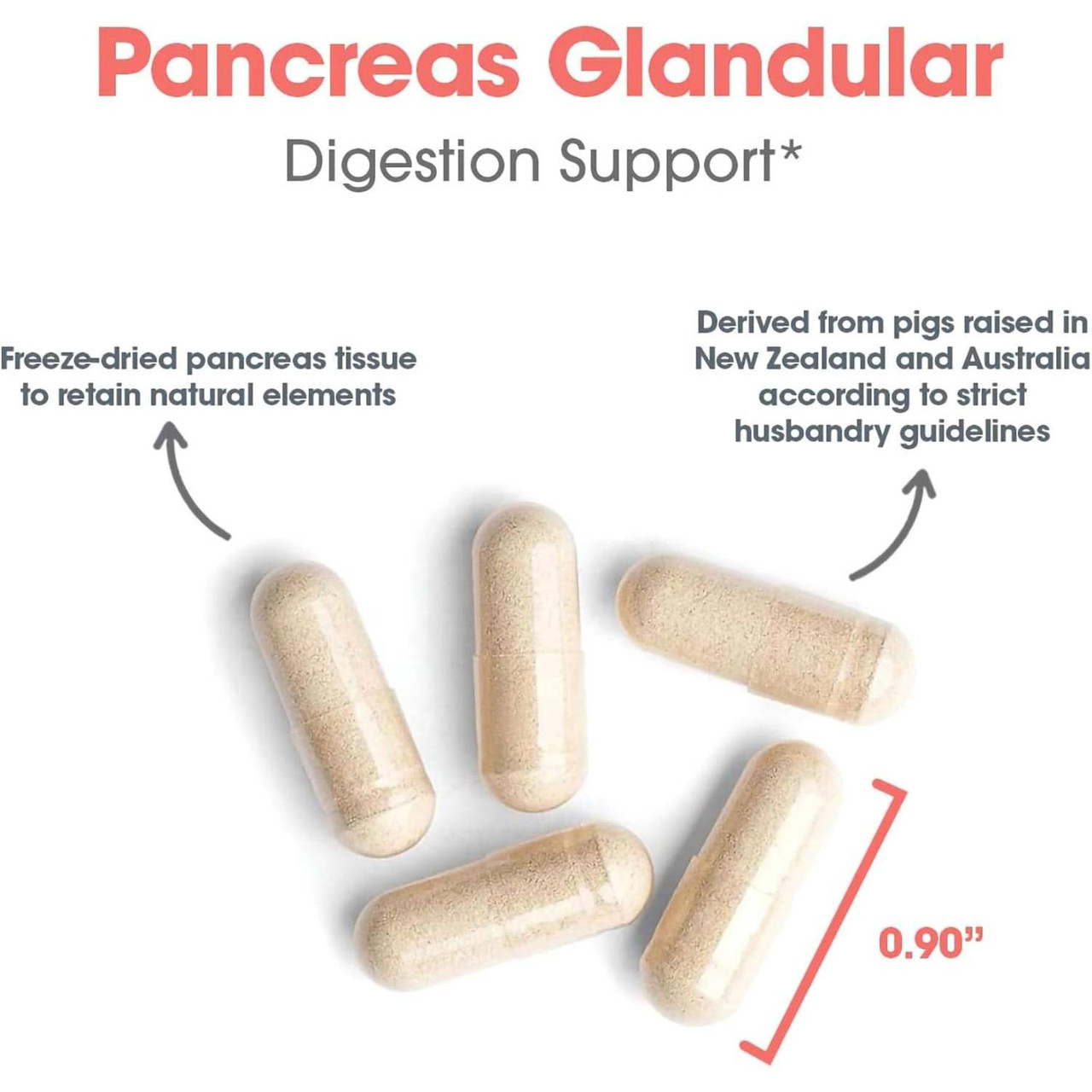 Allergy Research Group Pancreas (Pork) 425mg