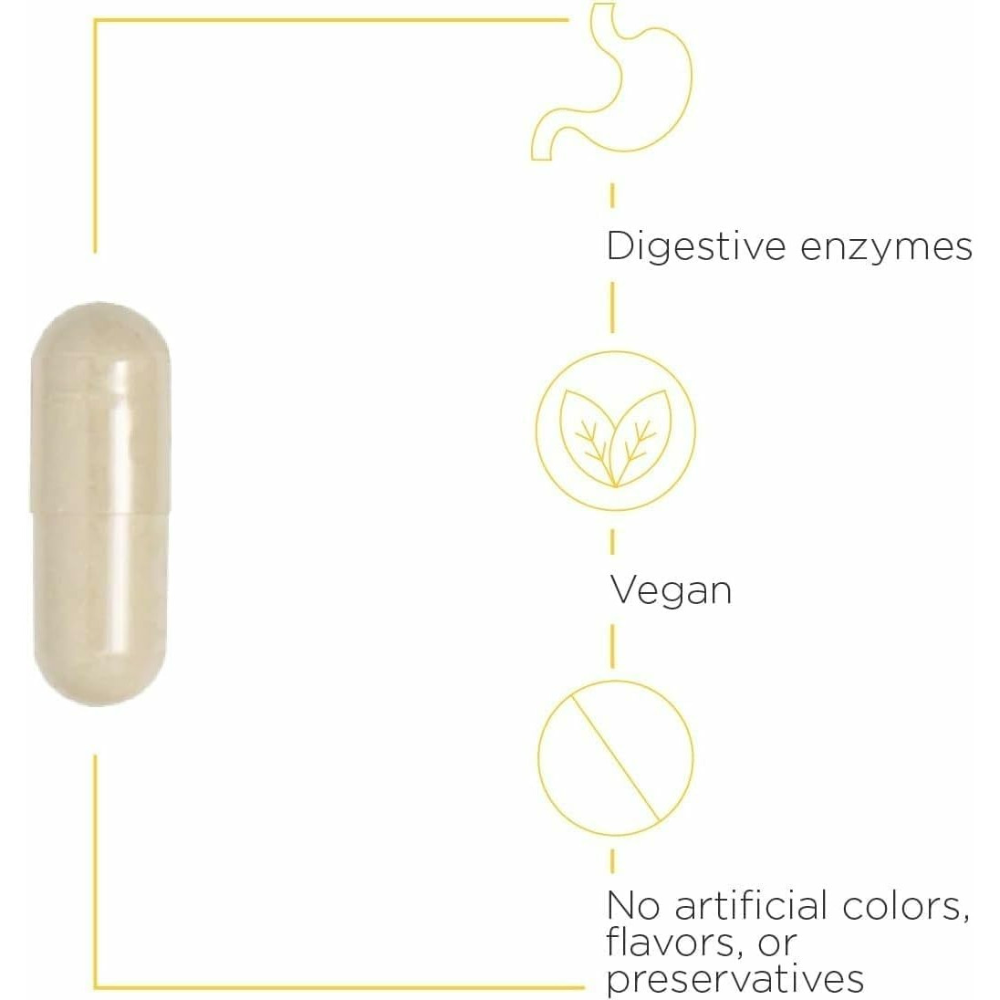 Similase capsule with digestive enzymes, vegan and no artificial colors icons