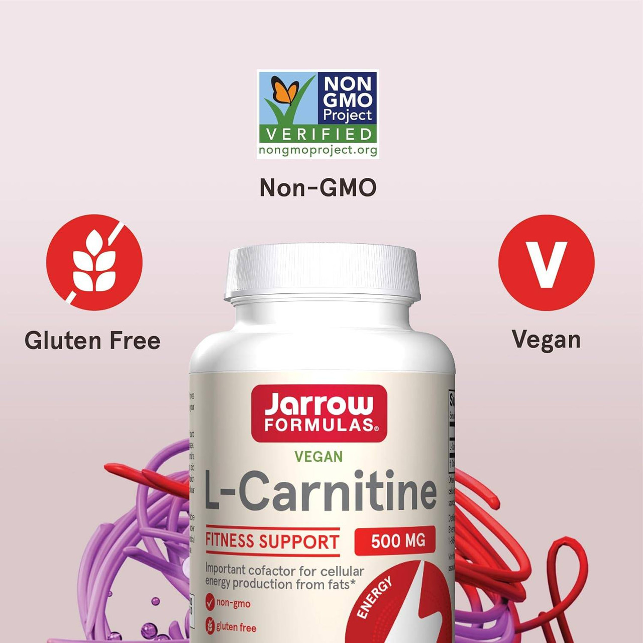 Jarrow Formulas L-Carnitine 500mg - 100 Capsules