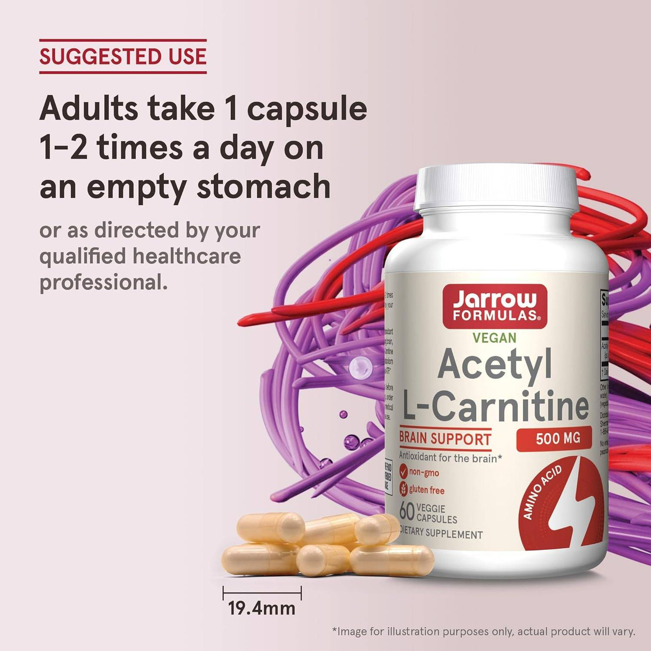 Jarrow Formulas Acetyl L-Carnitine 500mg