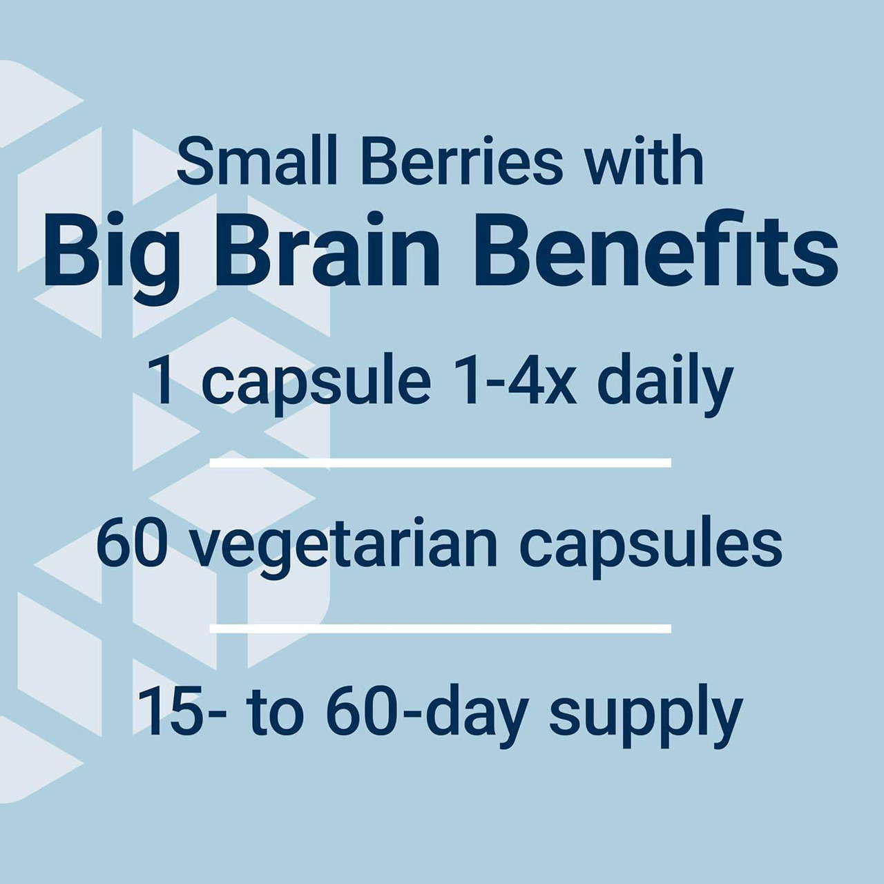 Life Extension Blueberry Extract - 60 Capsules