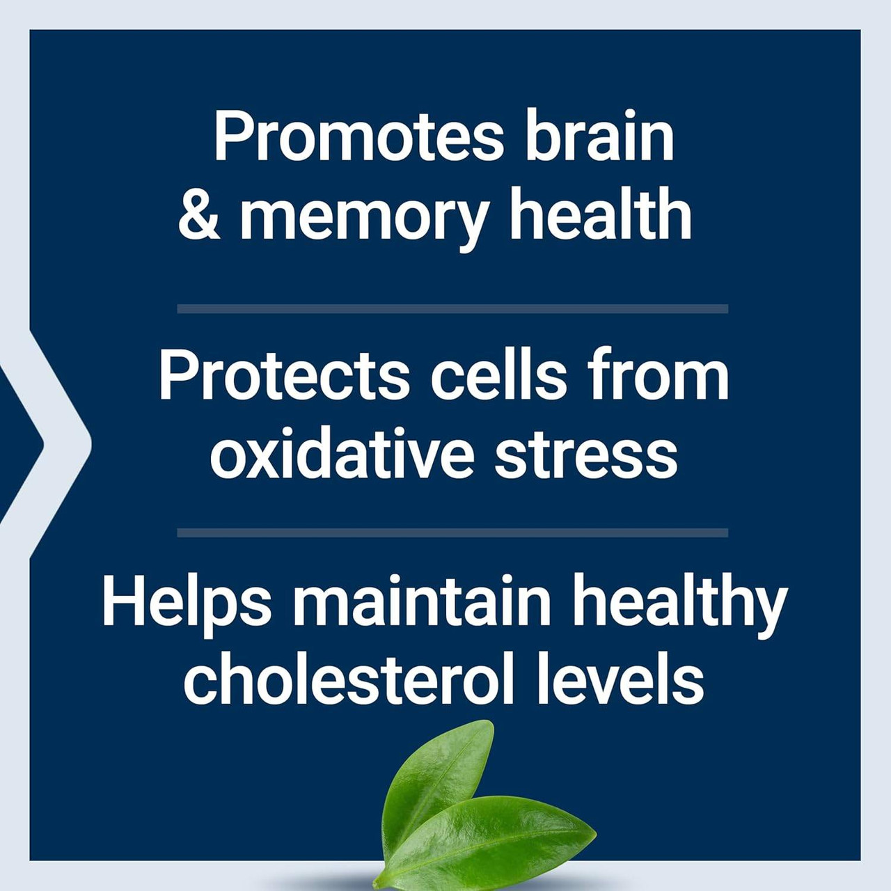 Life Extension Blueberry Extract - 60 Capsules