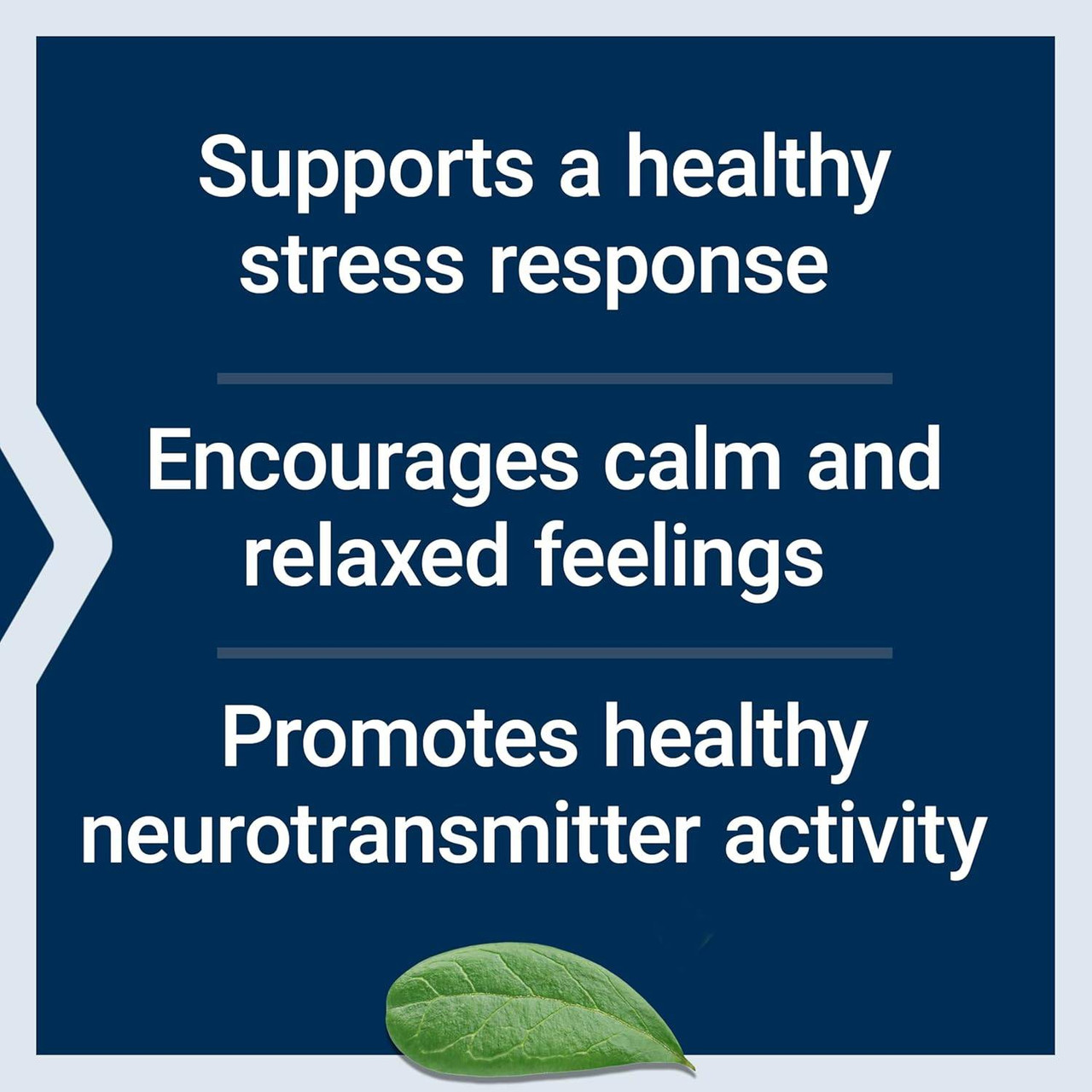 Calm-Mag key benefits list graphic