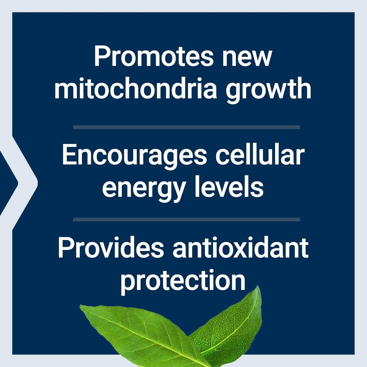 Life Extension PQQ 20mg - 30 Capsules