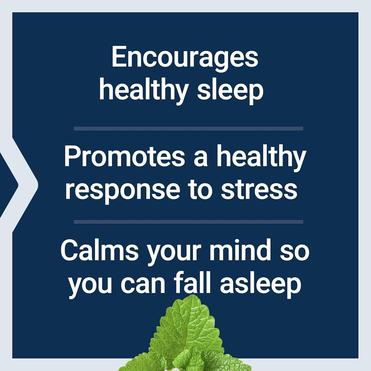 Life Extension Herbal Sleep PM - 30 Capsules