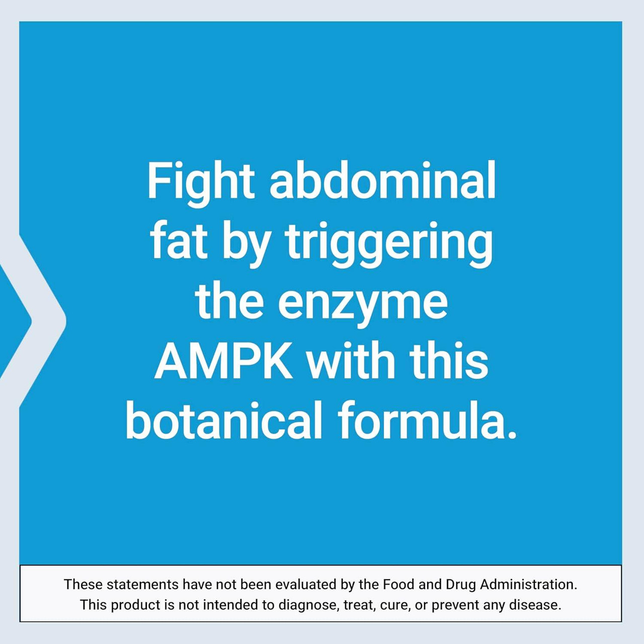 Blue graphic about the AMPK botanical formula