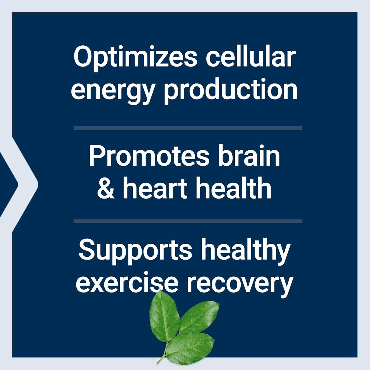 Life Extension Optimized Carnitine - 60 Capsules