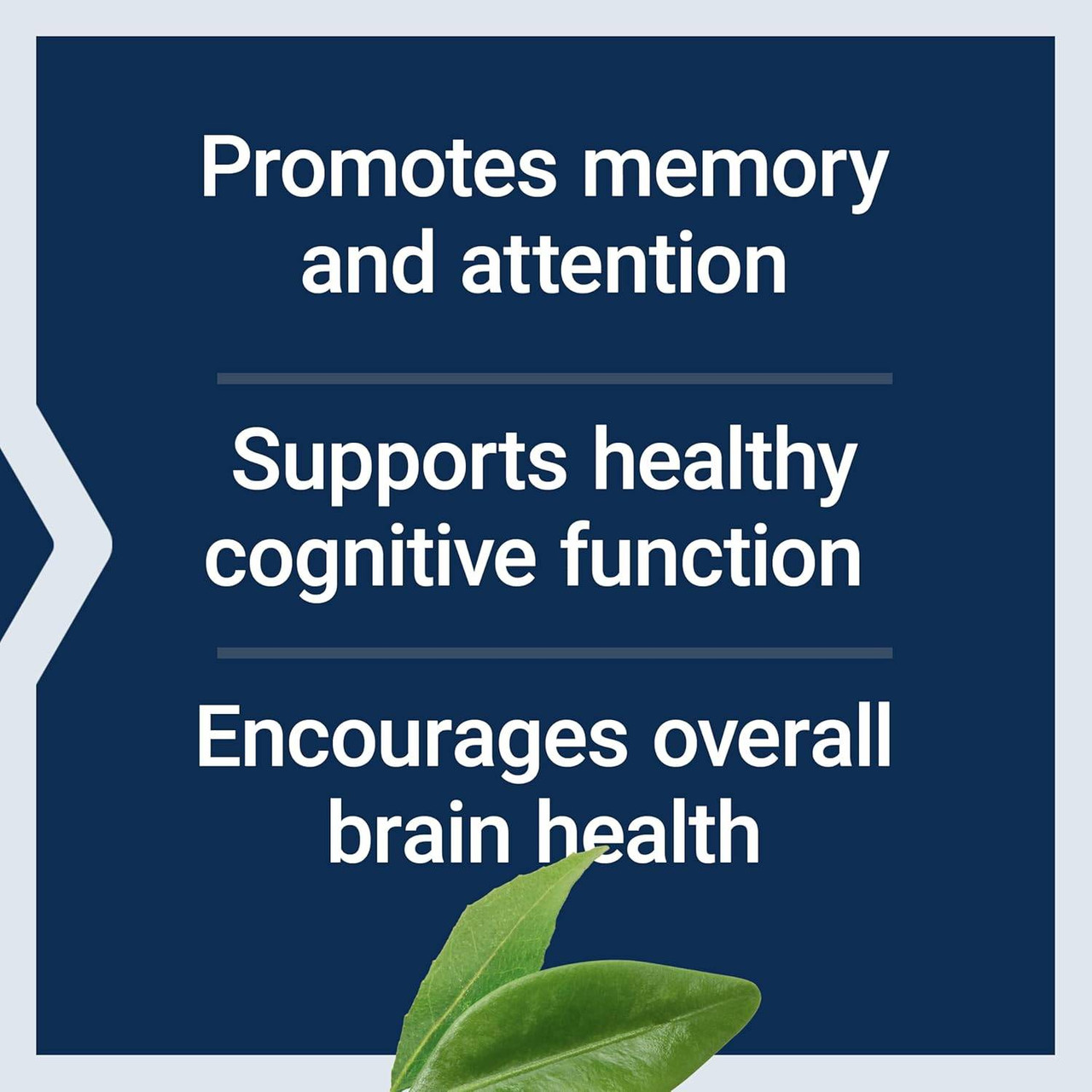 Life Extension Citicoline (CDP-Choline) - 60 Capsules