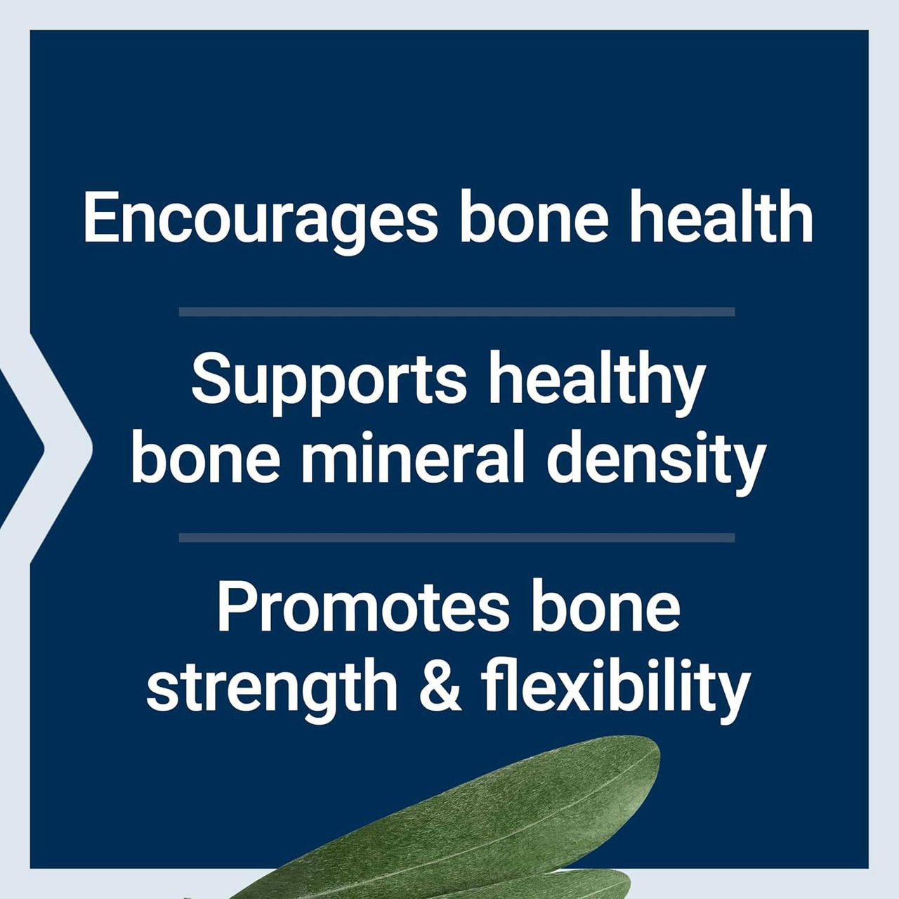 Life Extension Bone Strength Collagen Formula - 120 Capsules