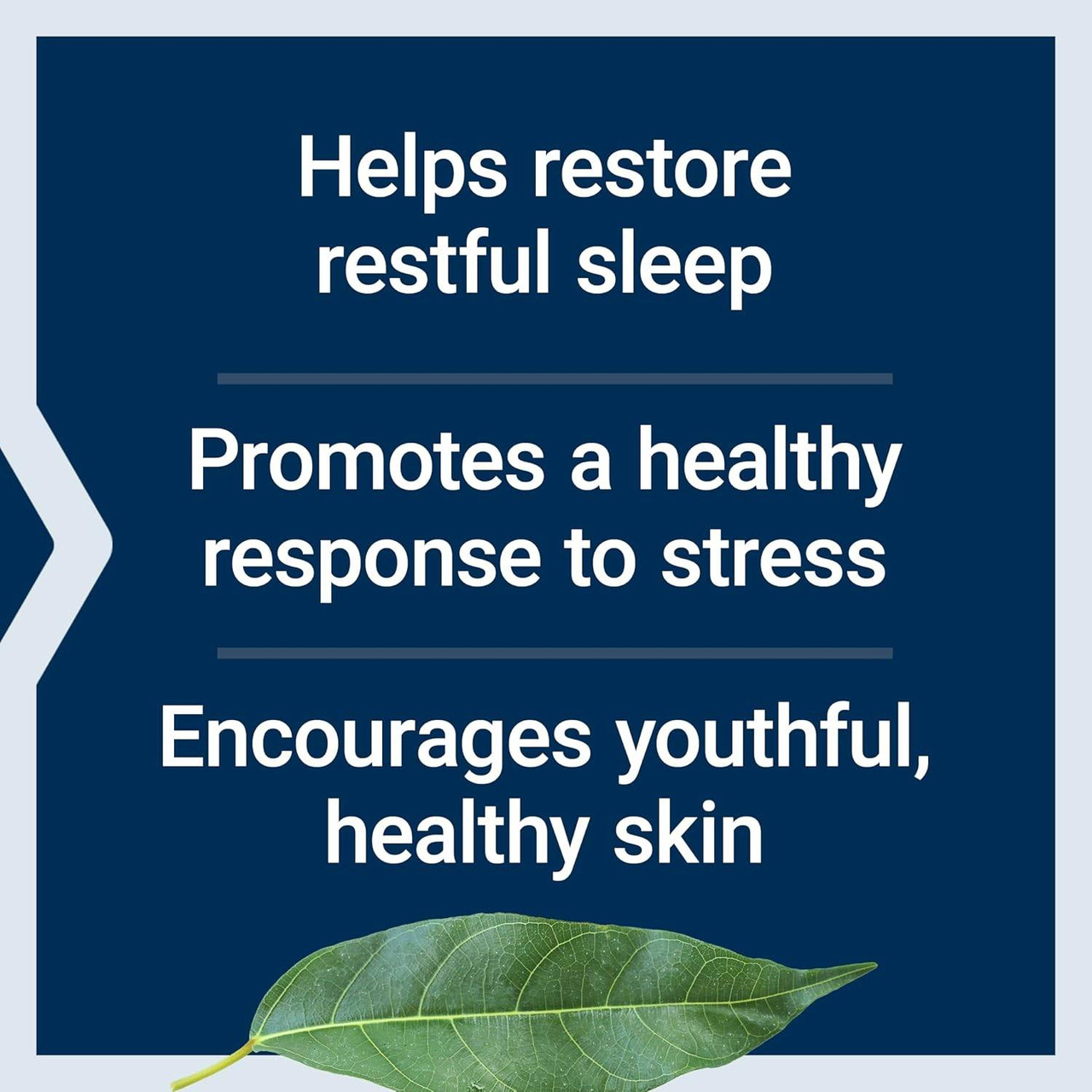 Life Extension Enhanced Natural Sleep without Melatonin - 30 Capsules