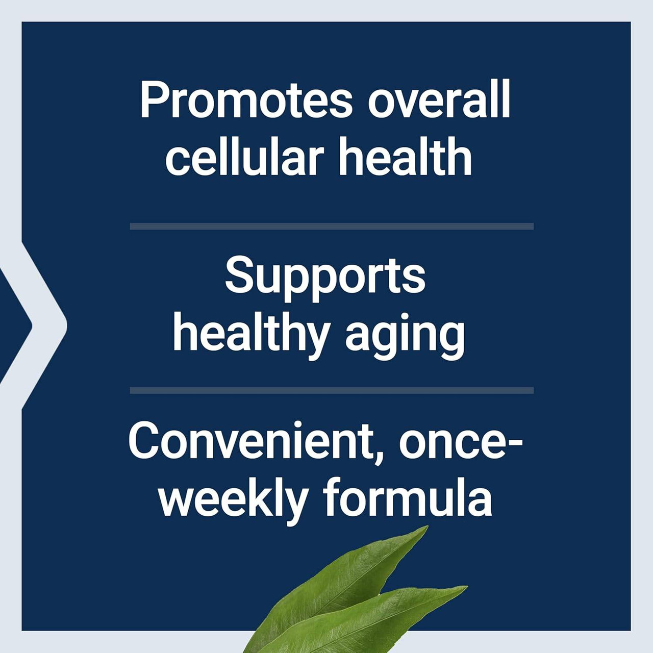 Life Extension Senolytic Activator - 36 Capsules