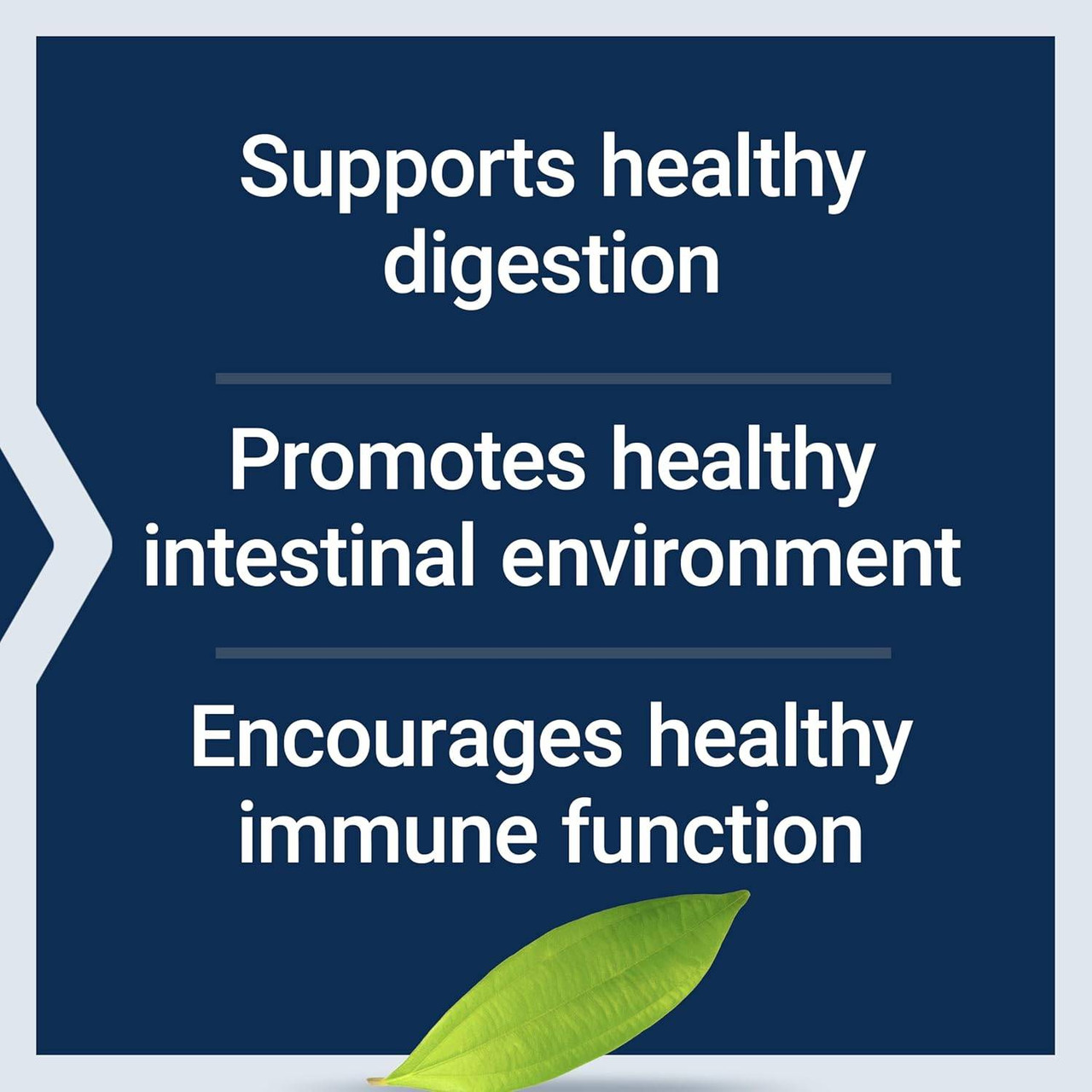 Life Extension Bifido GI Balance - 60 Capsules