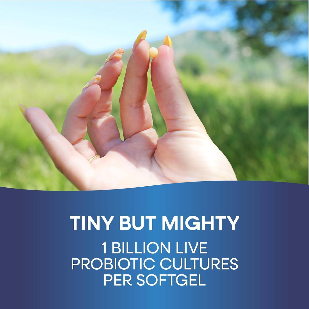 Hand holding tiny softgel, tiny but mighty 1 billion live cultures per softgel