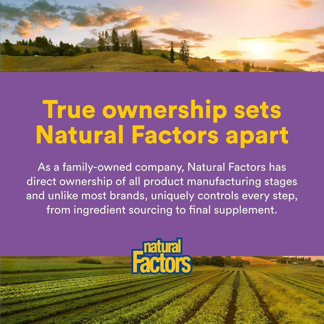 Natural Factors Stress Relax Mind Retreat - 60 Capsules