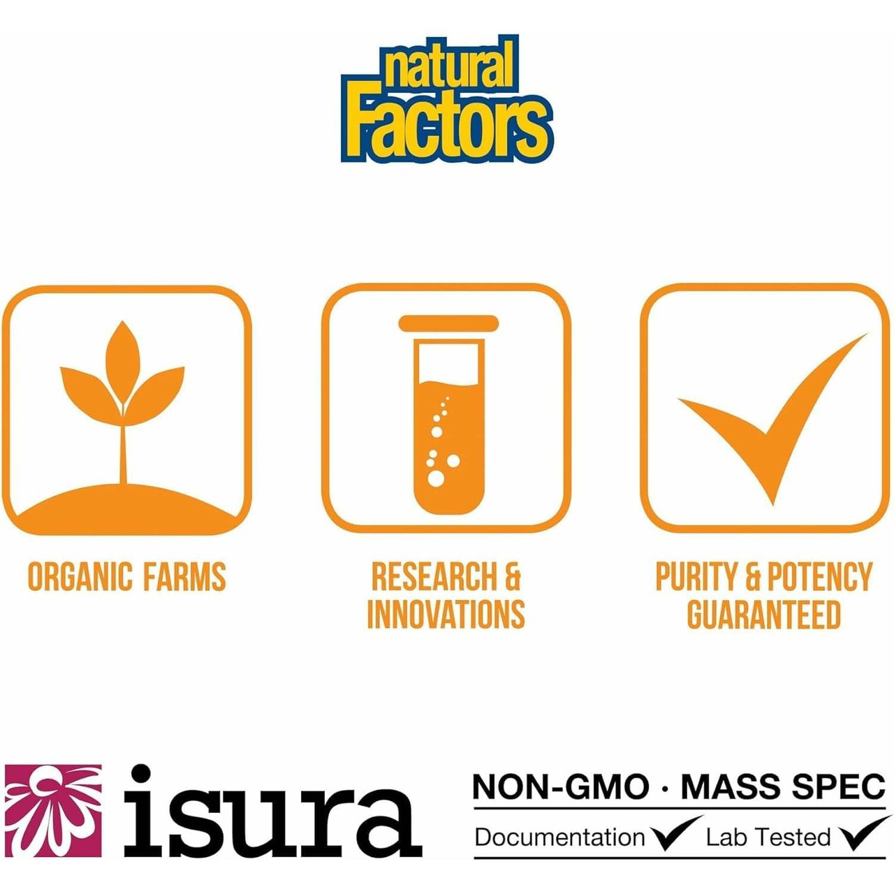 Natural Factors Joint Curcumizer - 60 Capsules