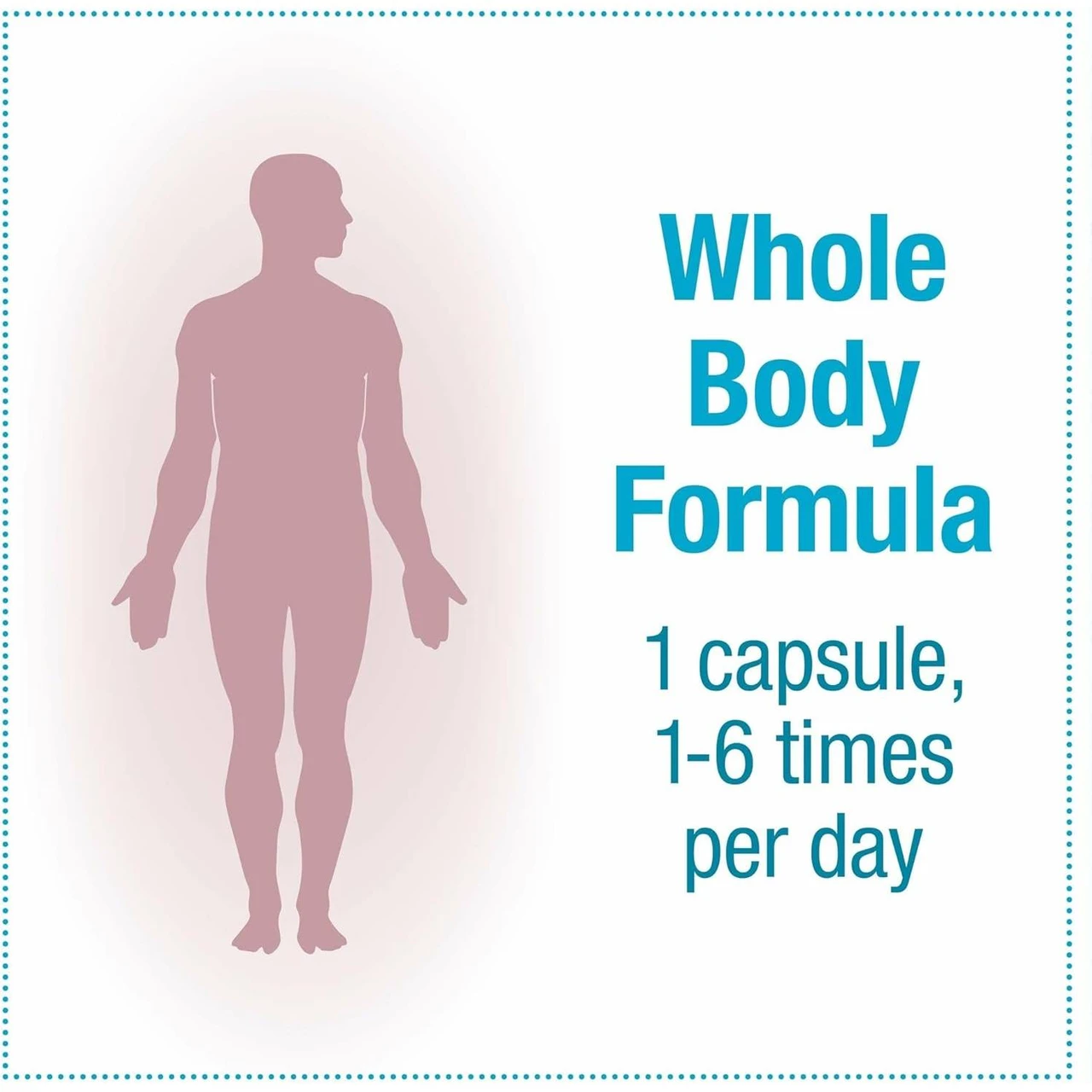 Natural Factors TravelBiotic 10 Billion - 60 Capsules