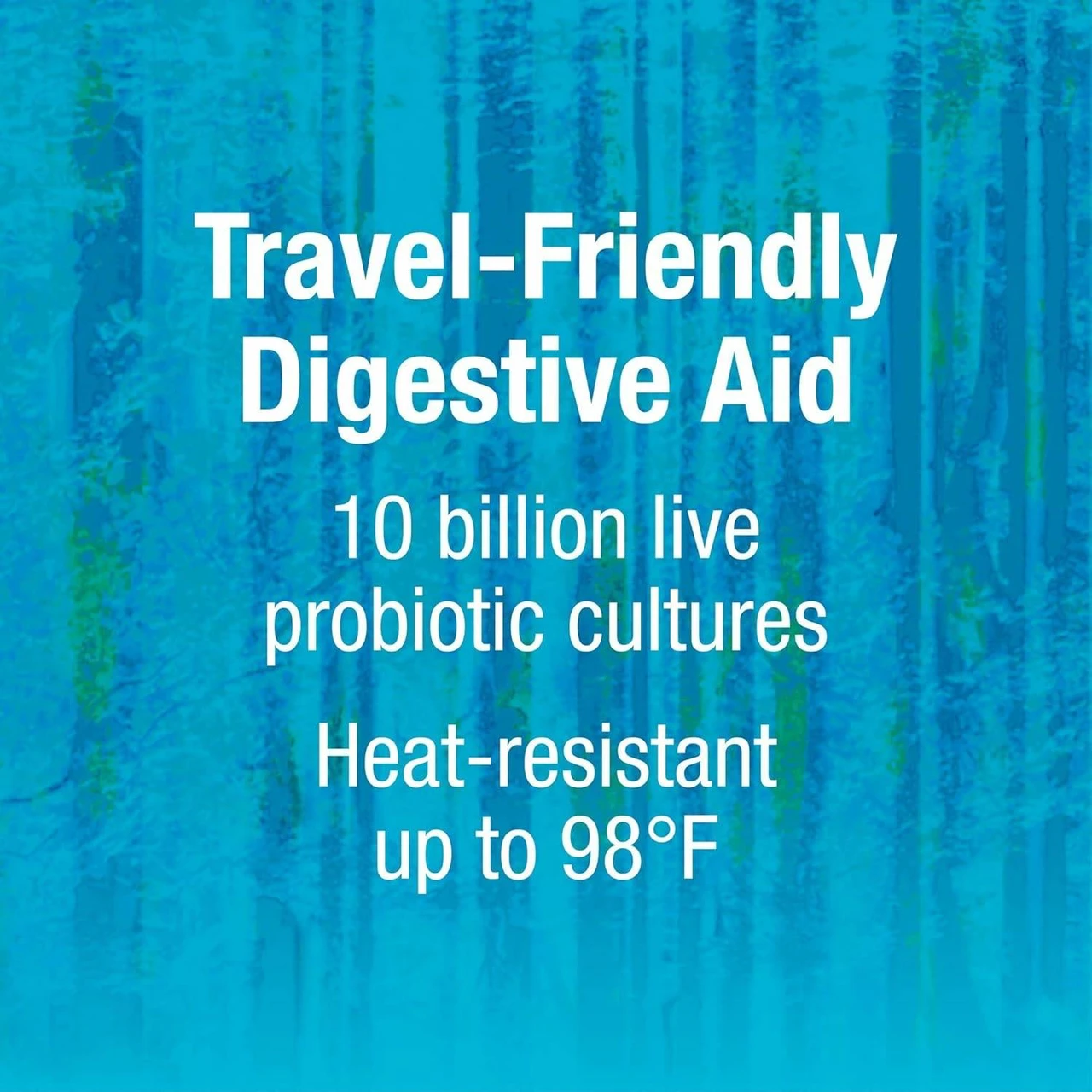 Natural Factors TravelBiotic 10 Billion - 60 Capsules