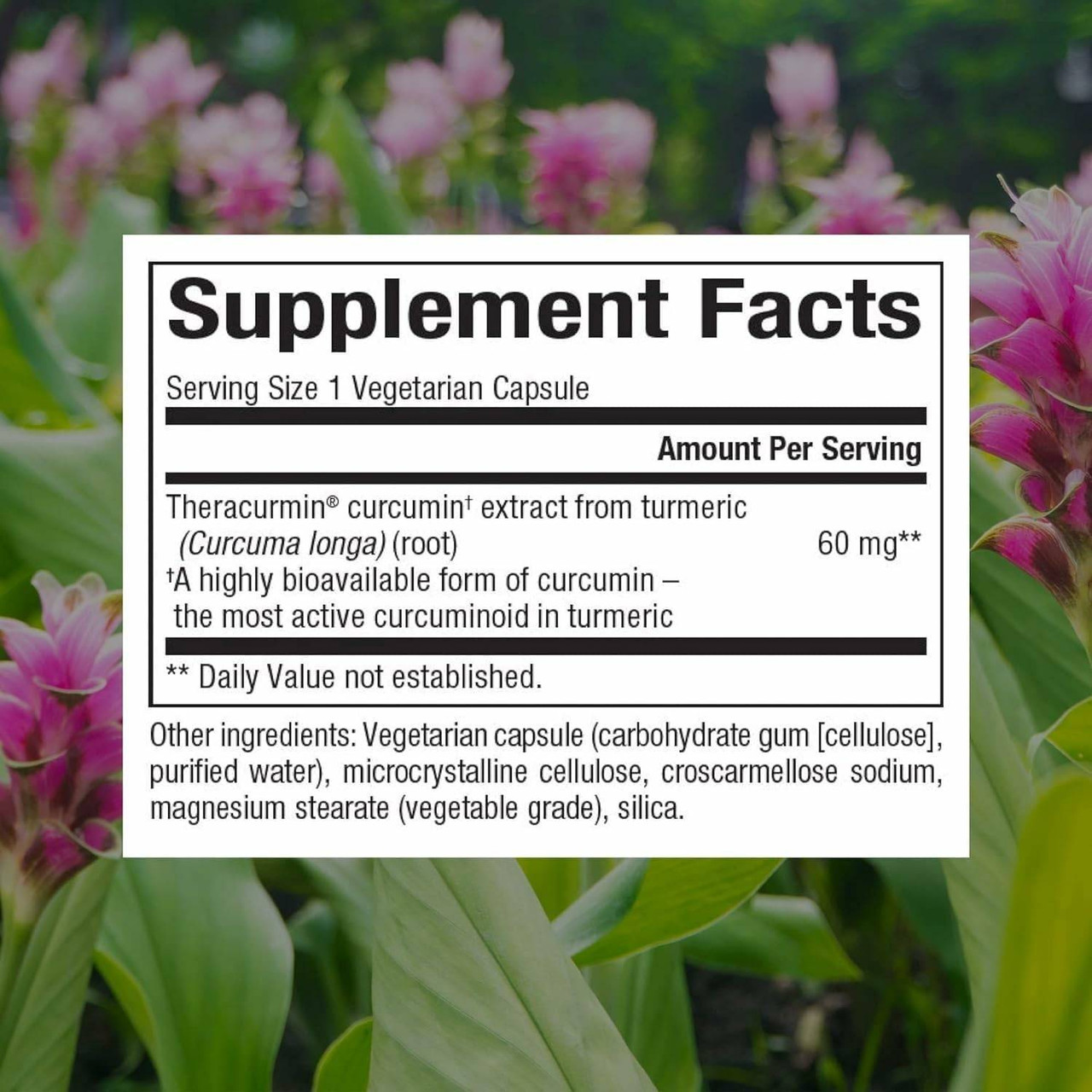 Natural Factors Double Strength Theracurmin - 30 Capsules