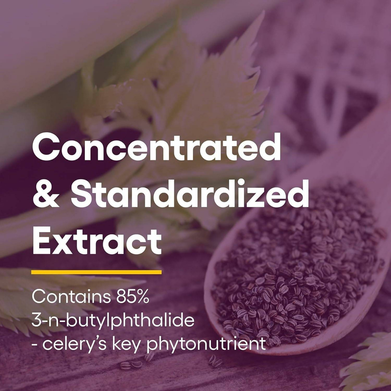 Bowl of celery seeds, concentrated and standardized extract graphic