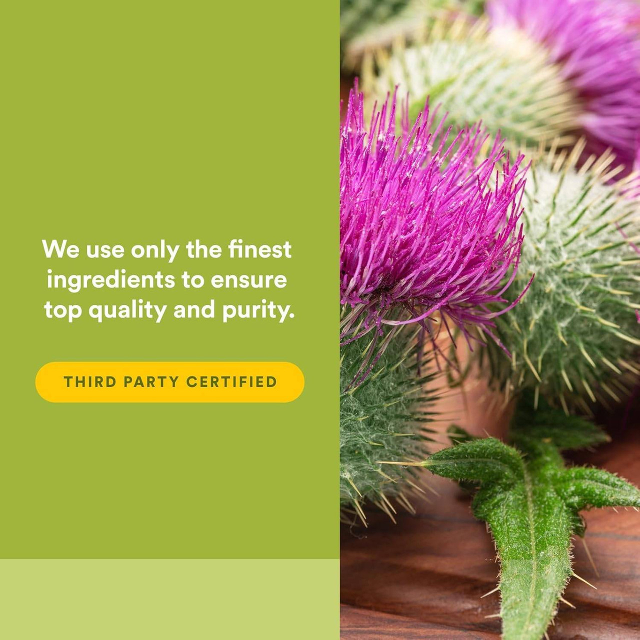 Natural Factors Milk Thistle Phytosome - 90 Capsules