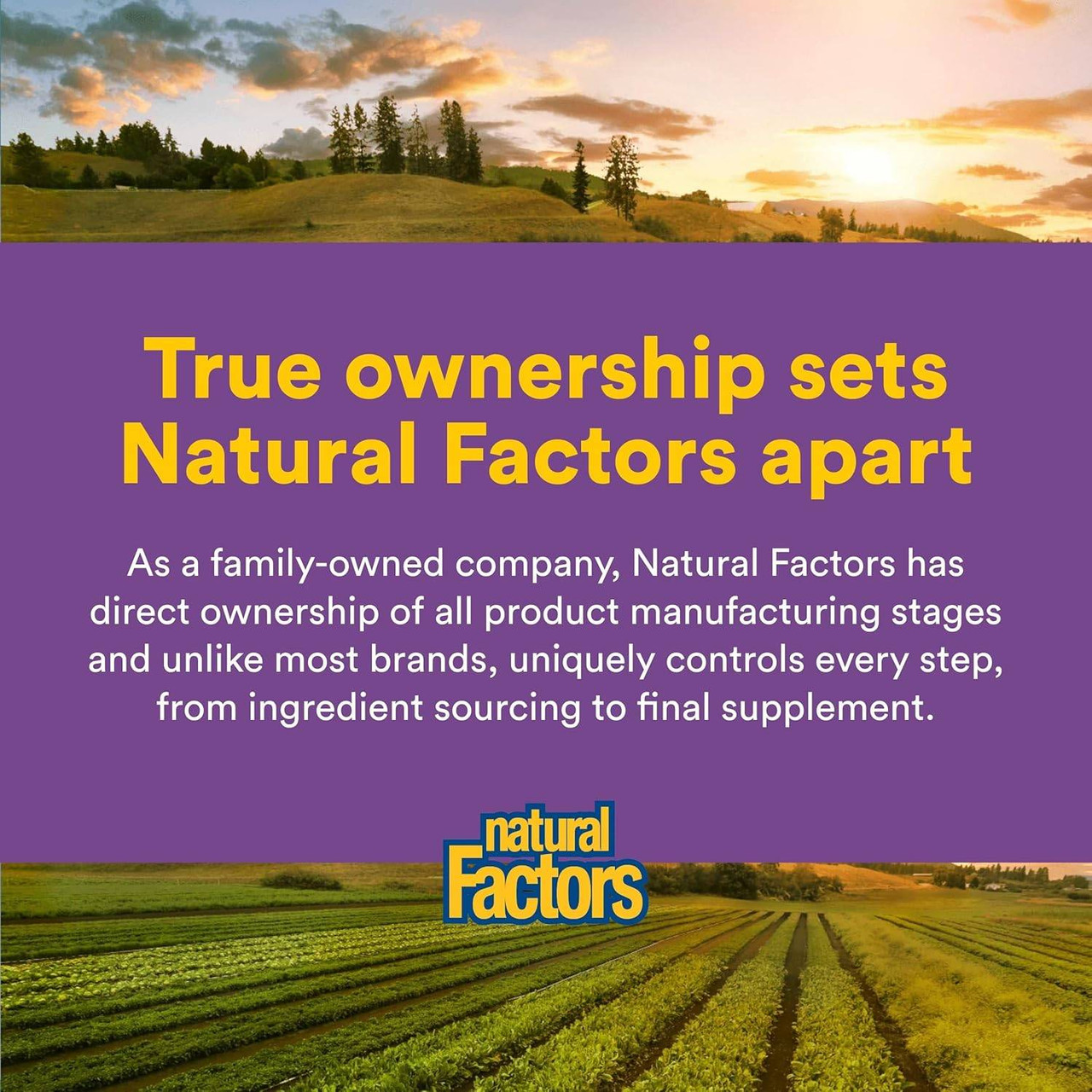 Natural Factors Pharma Gaba 250mg - 60 Capsules