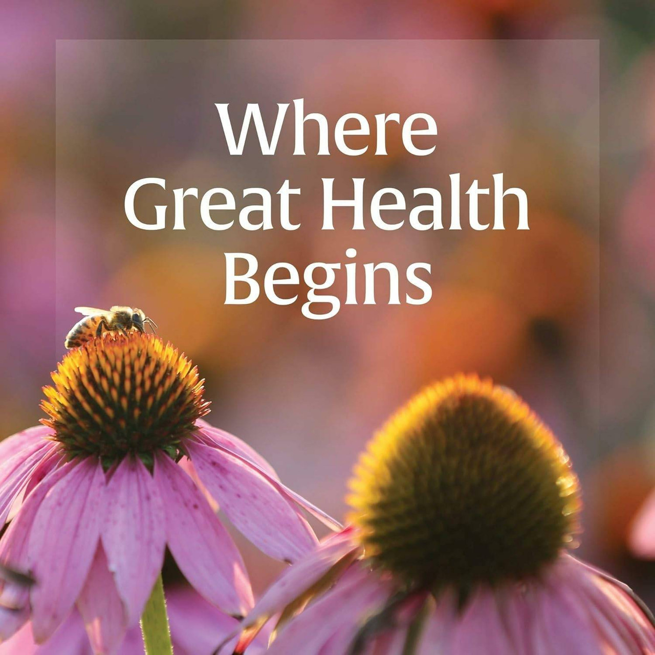 Natural Factors Anti-V Formula - 60 Softgels