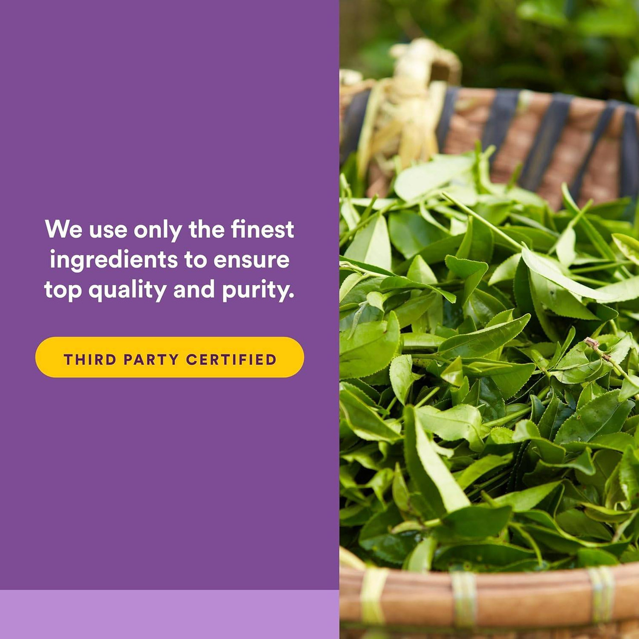 Natural Factors Suntheanine L-Theanine - 60 Tablets