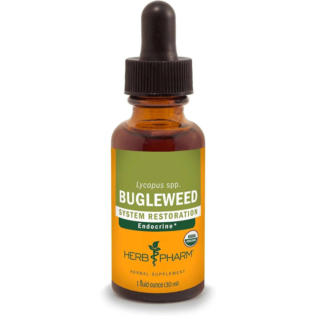 Herb Pharm Bugleweed liquid extract 1 fl oz (30 mL) dropper bottle
