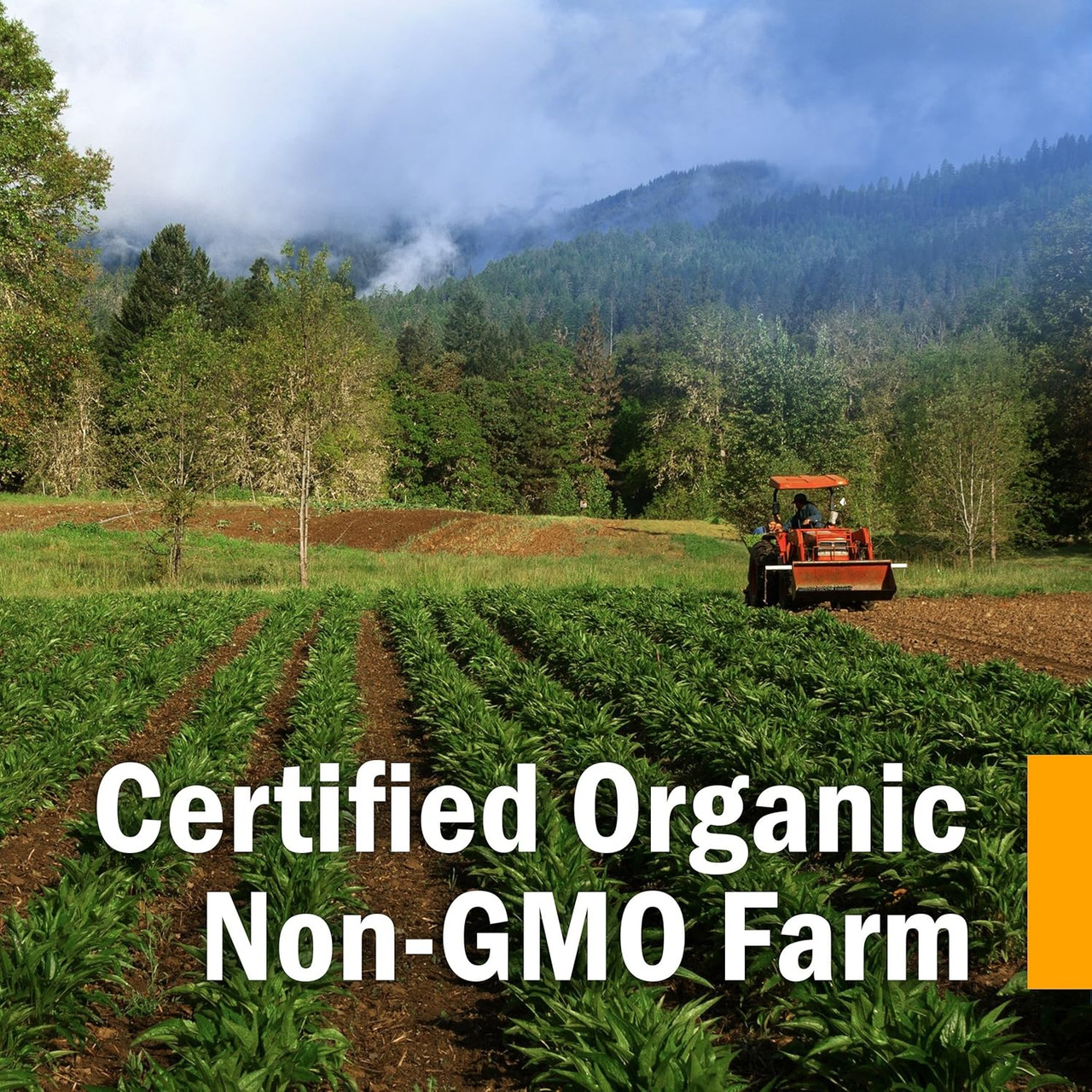 Green farm field with a tractor and forested hills, certified organic non-GMO farm graphic