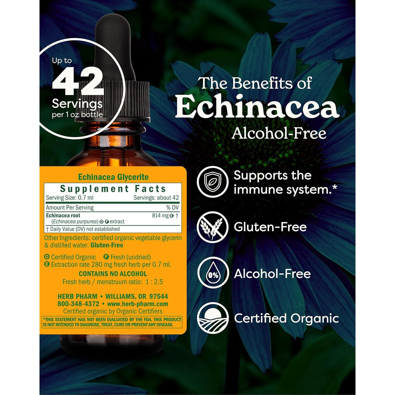 Echinacea alcohol-free benefits graphic with servings and free-from icons