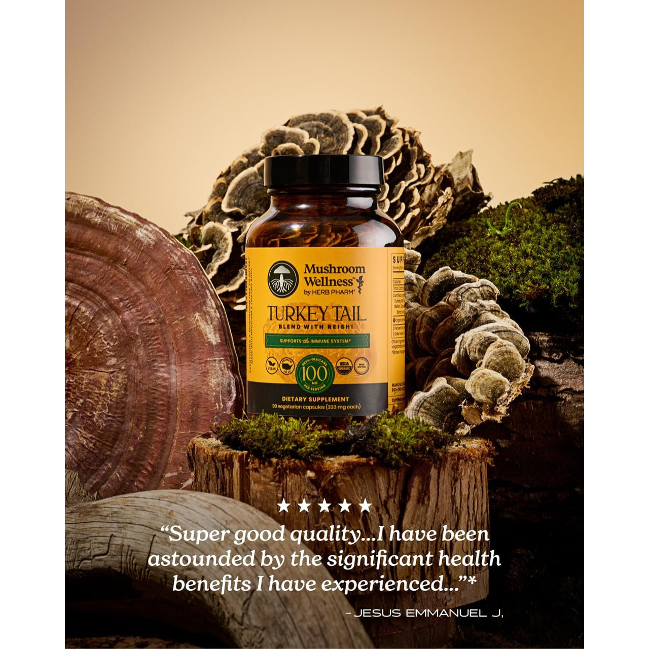 Herb Pharm Turkey Tail Blend with Resihi - 90 capsules