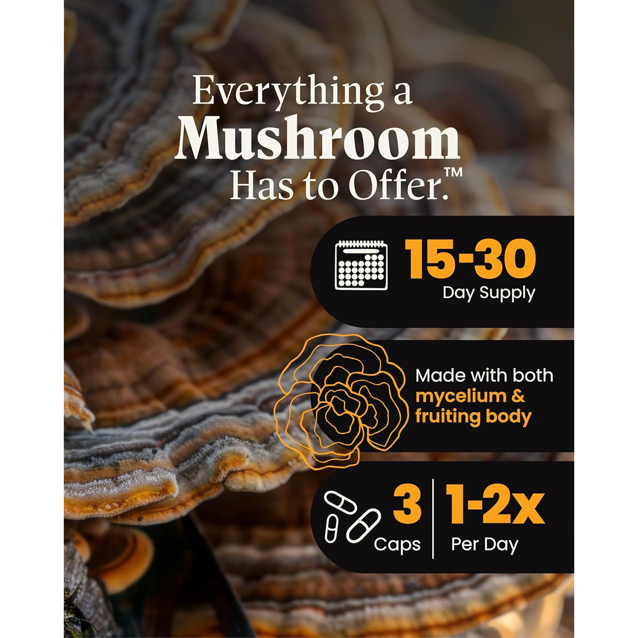 Herb Pharm Turkey Tail Blend with Resihi - 90 capsules