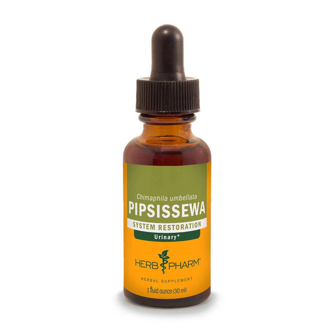 Herb Pharm Pipsissewa liquid extract 1 fl oz (30 mL) dropper bottle