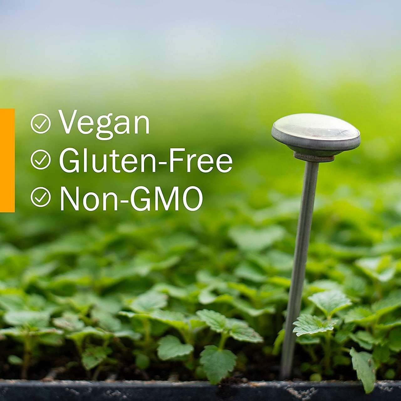 Herb Pharm Lavender - 30 ml