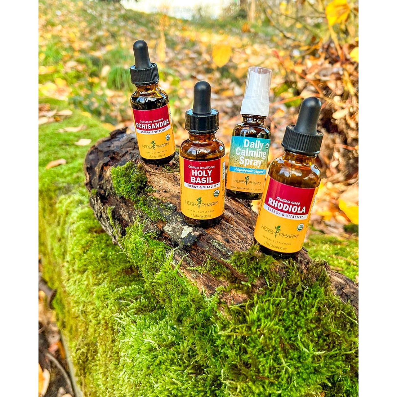 Four Herb Pharm extract bottles on a mossy tree stump