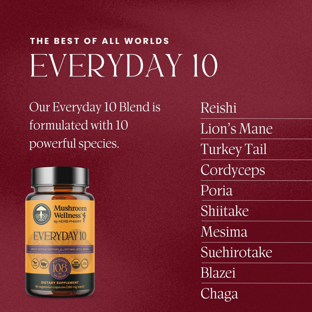 Ten mushroom species blend list beside Everyday 10 bottle graphic