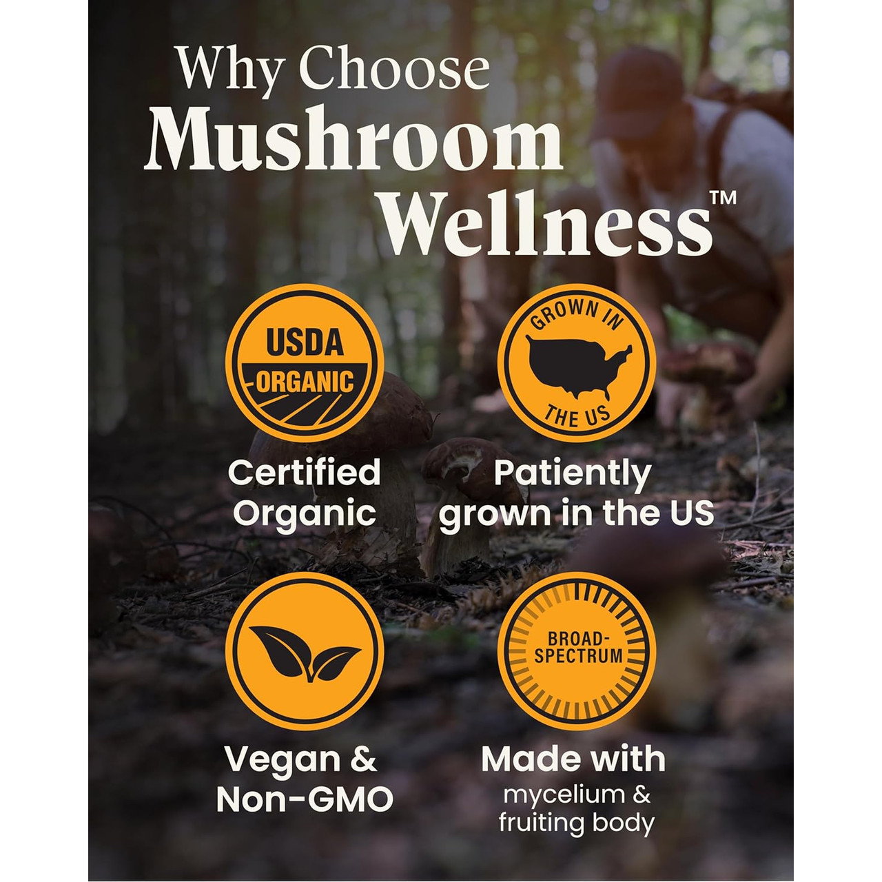 Herb Pharm Everyday 10 - 90 capsules