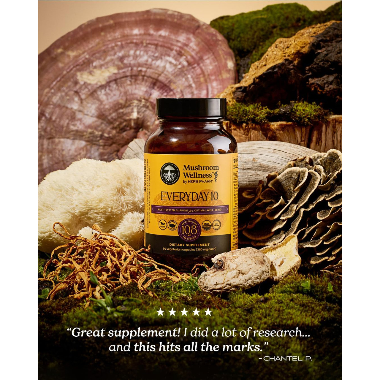 Everyday 10 bottle nestled among whole mushrooms and moss
